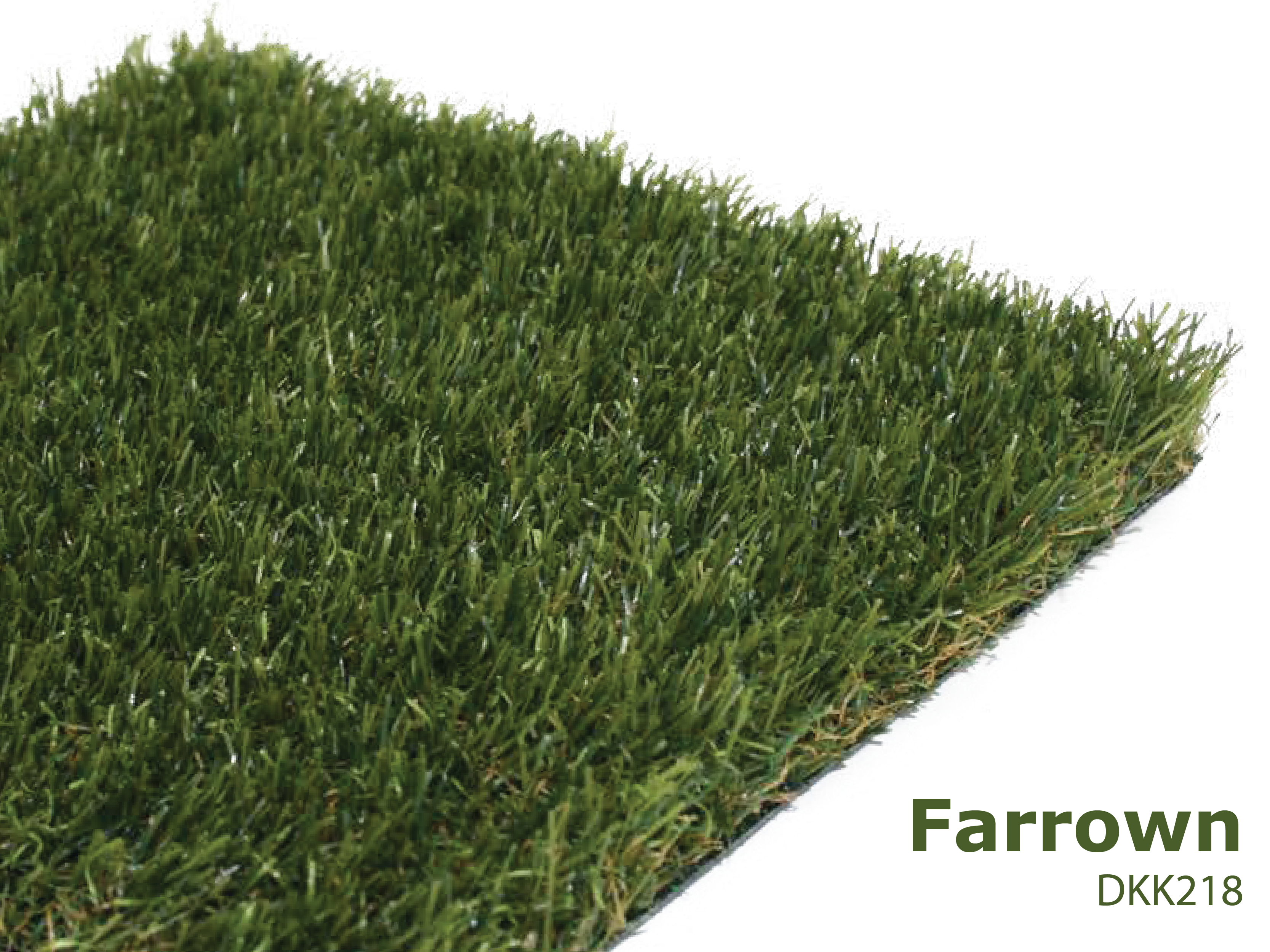 Assortiment Prime Fields - Prime Yucca